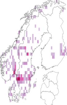 Fyndkarta för vit trattskivling. Datakälla: GBIF