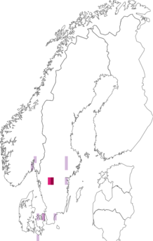 Fyndkarta för rosenfrätskinn. Datakälla: GBIF