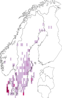 Fyndkarta för vitfläckigt ängsfly. Datakälla: GBIF