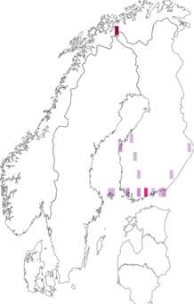 Fyndkarta för Borborillus vitripennis. Datakälla: GBIF