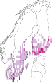 Fyndkarta för svampfly. Datakälla: GBIF
