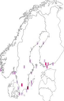 Fyndkarta för medelhavsstenskvätta. Datakälla: GBIF