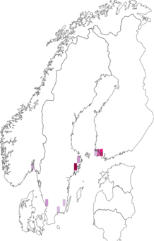 Fyndkarta för vitryggsdvärgmal. Datakälla: GBIF