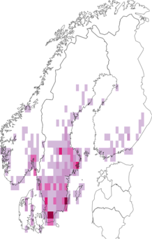 Fyndkarta för Phyllobius. Datakälla: GBIF