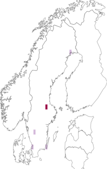 Fyndkarta för Phyllonorycter heringiellus . Datakälla: GBIF