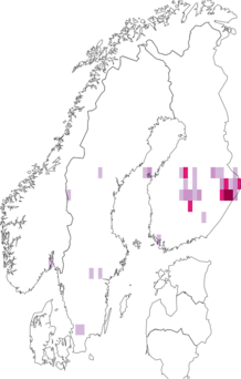Fyndkarta för Phellinus cinereus. Datakälla: GBIF