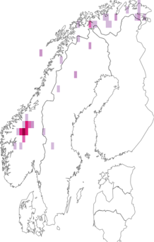 Fyndkarta för nordlig sköldlav. Datakälla: GBIF