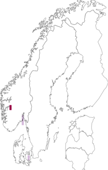 Fyndkarta för Hemimycena pseudocrispula. Datakälla: GBIF