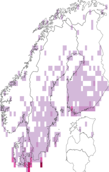 Fyndkarta för brunsprötad skymningssvärmare. Datakälla: GBIF