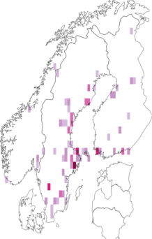Fyndkarta för videglansblomfluga. Datakälla: GBIF