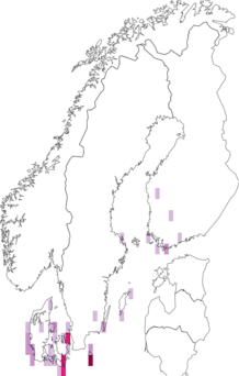 Fyndkarta för vitribbad skymningssvärmare. Datakälla: GBIF