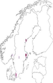 Kaarta Phacelia campanularia. Data source: GBIF