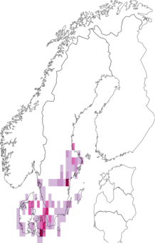 Fyndkarta för mörkbandat gulvingfly. Datakälla: GBIF