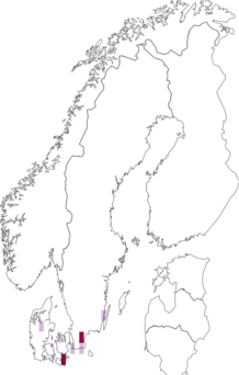 Fyndkarta för rosenpuderskivling. Datakälla: GBIF