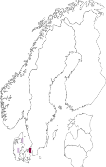 Fyndkarta för Trichosphaerella decipiens. Datakälla: GBIF