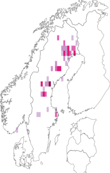 Fyndkarta för nordlig blombock. Datakälla: GBIF
