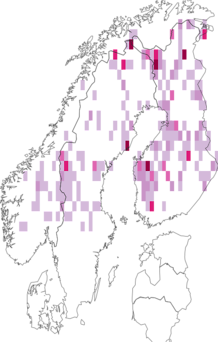 Kaarta Pyrgus centaureae. Data source: GBIF