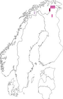 Fyndkarta för björkregionknoppvecklare. Datakälla: GBIF