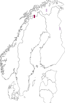 Fyndkarta för nordisk dvärgmossa. Datakälla: GBIF