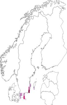 Levikukaart: Sympetrum fonscolombii. Andmete allikas: GBIF