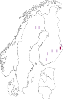 Levikukaart: Fibroporia norrlandica. Andmete allikas: GBIF
