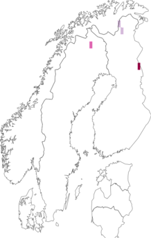 Fyndkarta för sibiriskt lundfly. Datakälla: GBIF