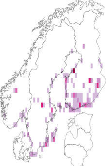 Fyndkarta för saltängsgräsmott. Datakälla: GBIF