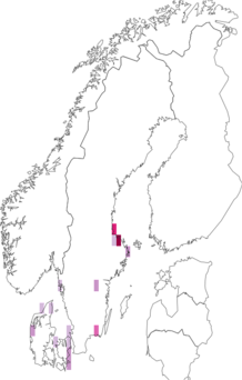 Kaarta Phellinus contiguus. Data source: GBIF