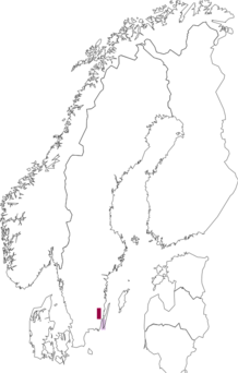 Levikukaart: Coleophora peri. Andmete allikas: GBIF
