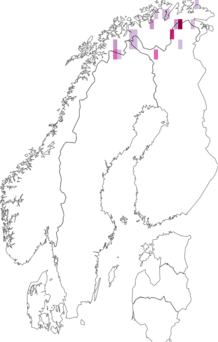 Fyndkarta för högnordisk pärlemorfjäril. Datakälla: GBIF