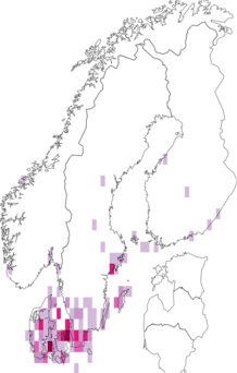Kaarta Thereva nobilitata. Data source: GBIF