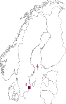 Fyndkarta för pärldvärgmal. Datakälla: GBIF