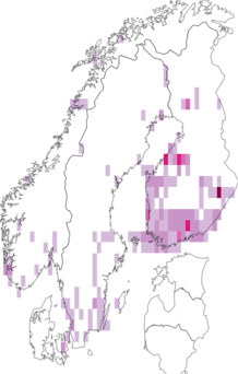 Fyndkarta för rödfläckig brokmal. Datakälla: GBIF