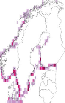 Kaarta merisinapit. Data source: GBIF