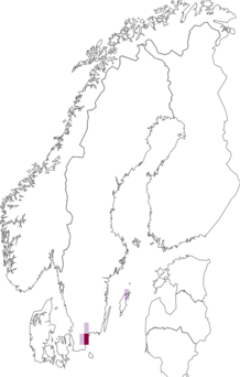 Levikukaart: Cortinarius caesiolatens. Andmete allikas: GBIF