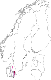 Fyndkarta för Tremella phaeophysciae. Datakälla: GBIF