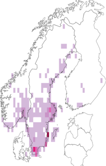 Fyndkarta för Gomphocerinae. Datakälla: GBIF