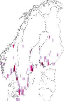 Fyndkarta för dvärgsötväppling. Datakälla: GBIF