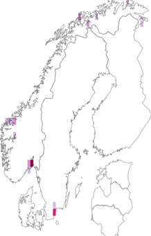 Kaarta Russula globispora. Data source: GBIF