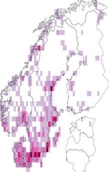 Kaarta Araneidae. Data source: GBIF