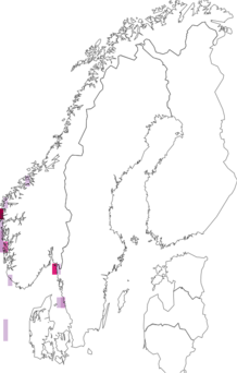 Fyndkarta för Phyllocarida. Datakälla: GBIF
