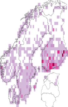 Kaarta Xanthorhoe montanata. Data source: GBIF