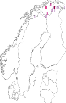Fyndkarta för spensligt hedfly. Datakälla: GBIF