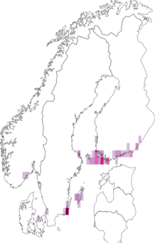 Fyndkarta för fältmalörtblomvecklare. Datakälla: GBIF