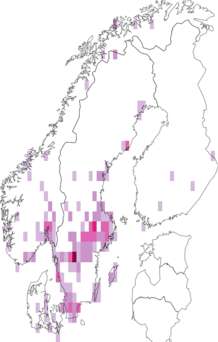 Fyndkarta för Bjerkandera. Datakälla: GBIF