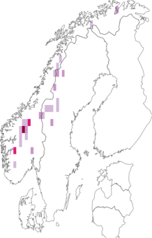 Levikukaart: Cortinarius subtorvus. Andmete allikas: GBIF