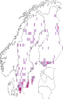 Fyndkarta för Atylotus. Datakälla: GBIF