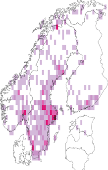 Fyndkarta för Chrysomela. Datakälla: GBIF