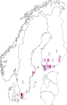 Fyndkarta för gulvingad örtblomfluga. Datakälla: GBIF