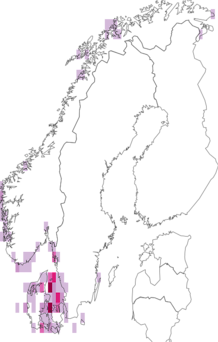 Fyndkarta för Corallinales. Datakälla: GBIF